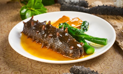 痰湿浊瘀-权威?痰浊湿毒用药和食物有哪些平台,分享专业痰湿痰饮痰浊中医的区别的知识_?痰浊湿毒用药和食物网